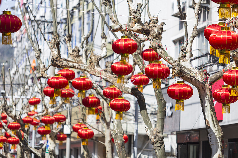 中国灯笼,春节,灯笼,美术工艺,纸灯笼,照明设备,传统节日,中国,东亚,节日