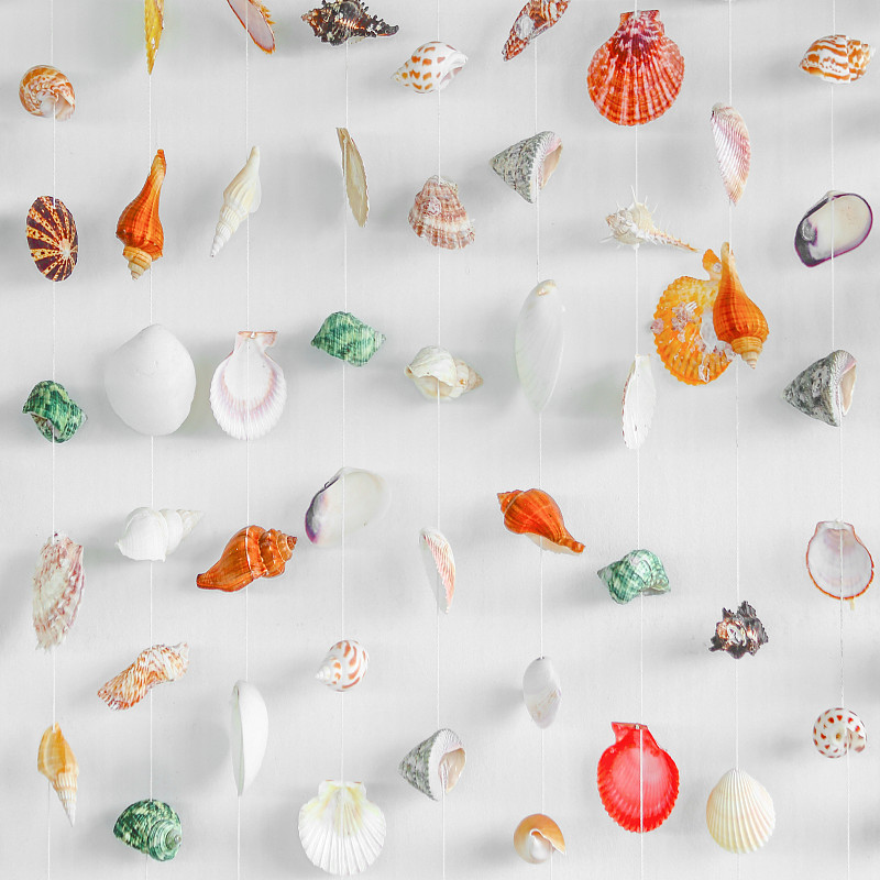 贝壳,悬挂的,母球,分离着色,双壳贝,绳子,窗帘,风,海蛤,扇贝