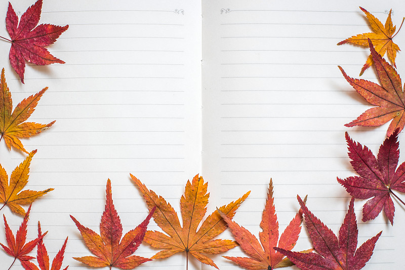 边框,秋天,叶子,式样,纹理,纸,空白的,笔记本,背景,多色的