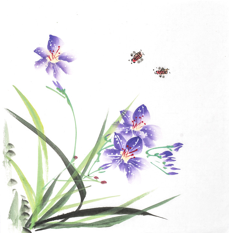 兰花,紫色,野生植物,墨水,动物手,传统,水彩画颜料,美术工艺,日语,环境