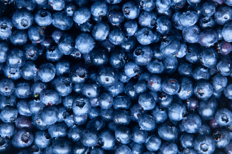 蓝莓,清新,特写,饮食,食品,生活方式,水平画幅,大特写,蓝色,收获