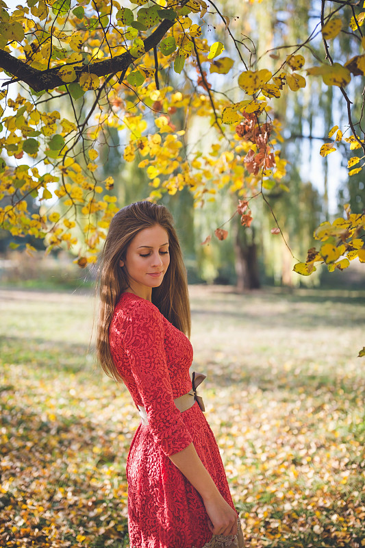 公园,秋天,红色裙子,平衡折角灯,女孩,自然美,十月,长的,肖像,简单