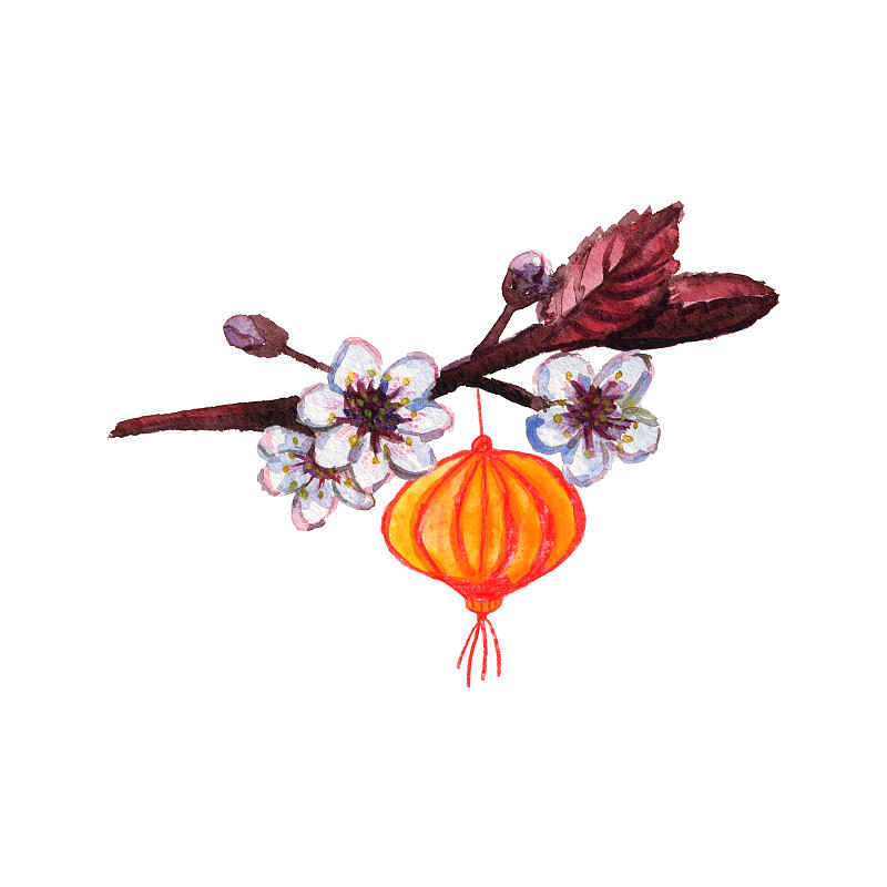 春节,中国灯笼,绘画插图,红色,2020,仅一朵花,植物学,明信片,动物手,黄色