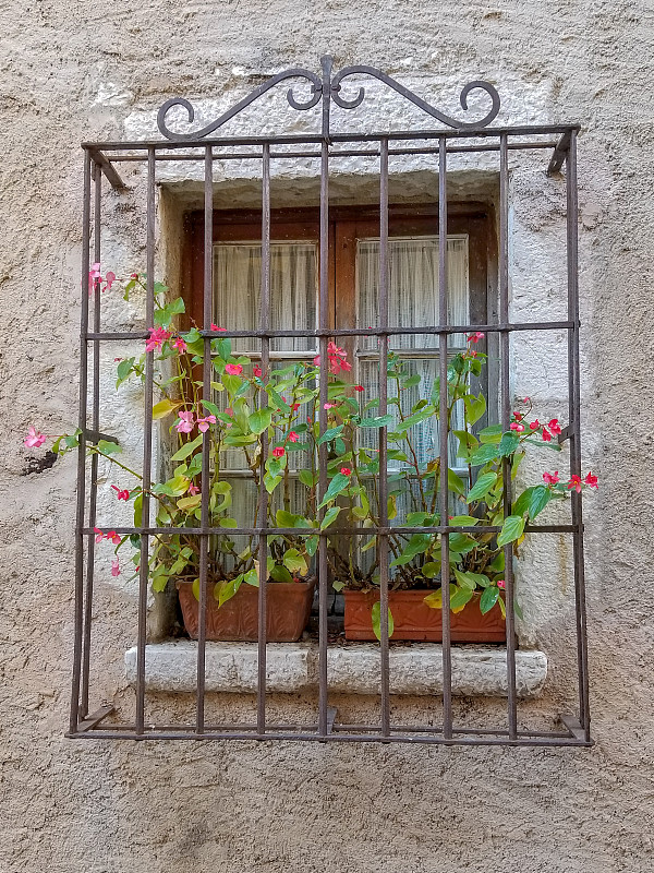 花盆,边框,窗户,铁,华丽的,法国,古典式,植物,夏天,户外