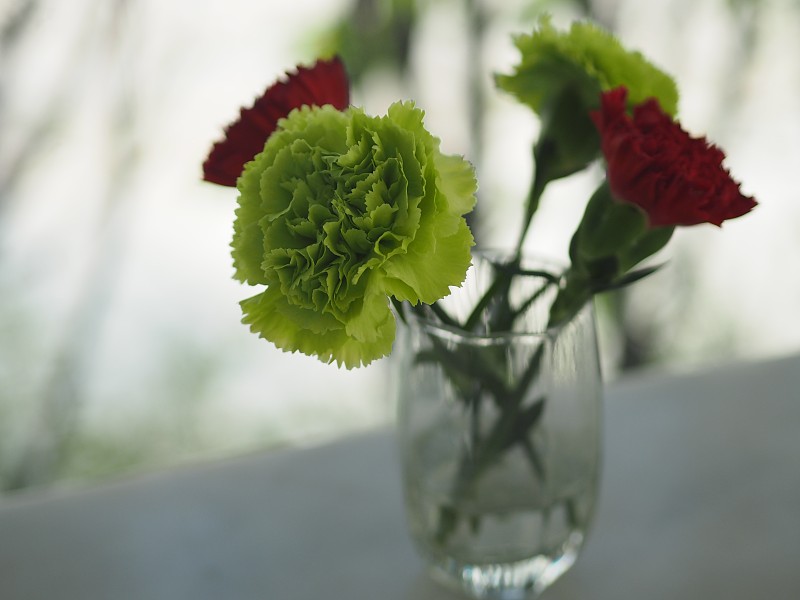红色,仅一朵花,康乃馨,绿色,玻璃,大理石,桌子,农业,一个物体,浪漫
