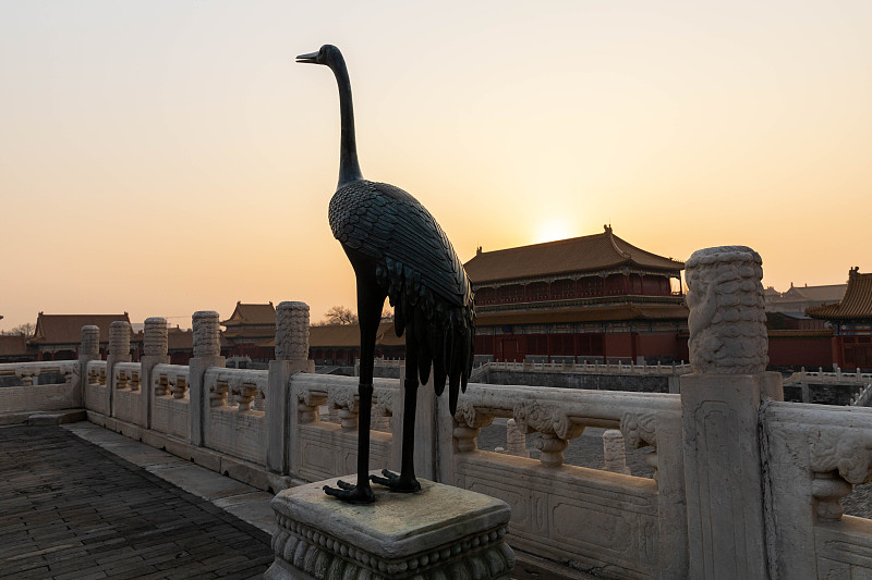 青铜,故宫,鹤,前面,北京,曙暮光,世界遗产,动物,鸟类,中国