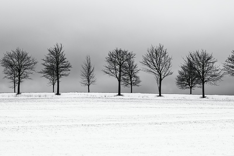 巷,极简构图,冬天,黑白图片,寒冷,环境,简单,霜,雪,天气