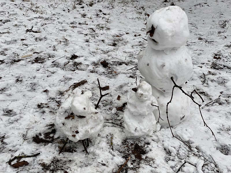 可爱的,小雕像,雪人,寒冷,环境,霜,雪,天气,公园,背景