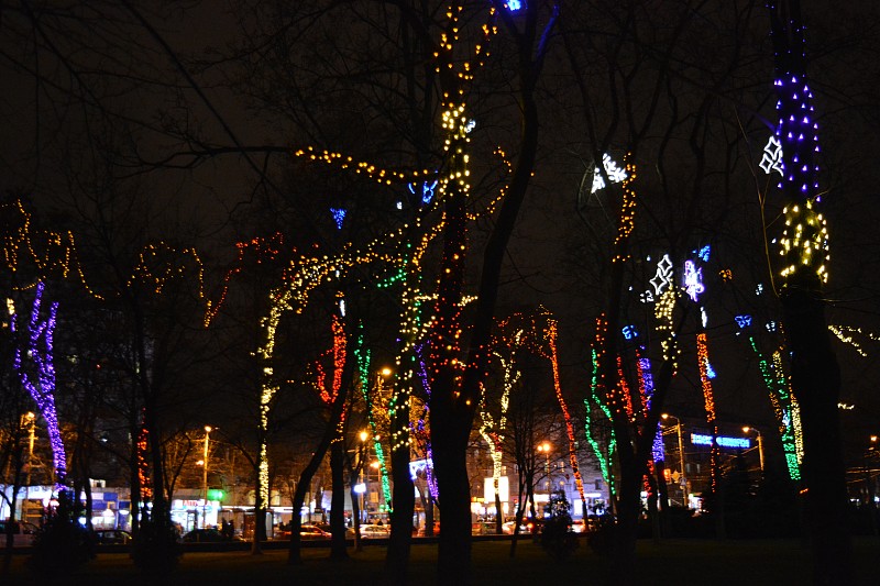 乌克兰,派克大街,伦敦城,有包装的,光亮,新年前夕,冬天,花环,发光二级管,树