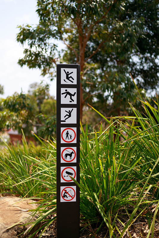 公园,安全的,标志,安全,遛狗师,杆,澳大利亚,户外,危险,绘画插图