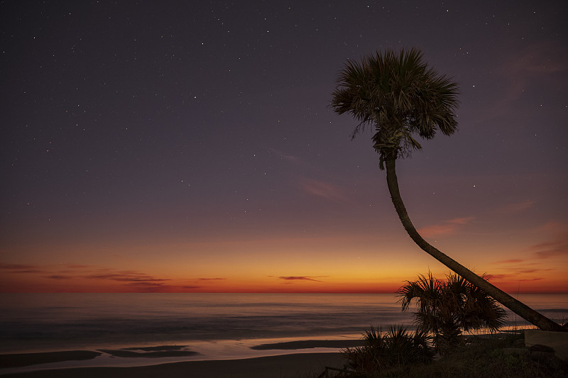 大西洋,夜晚,棕榈树,黎明,代顿海滩,佛罗里达,天空,缓慢的,远距离,摄像机拍摄角度