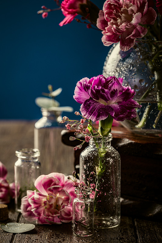康乃馨,紫色,花瓶,玻璃,自然美,国内著名景点,事件,贺卡,母亲,情人节卡