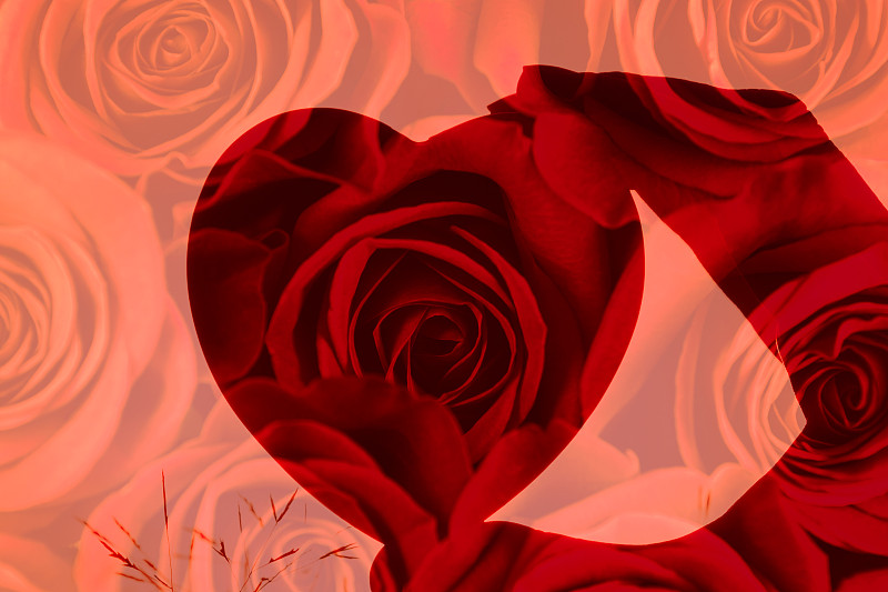 我爱你,蜜月,玫瑰,周年纪念,一个人,二月,女人,拿着,想法,仅女人