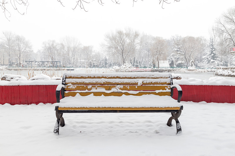 自然,冬天,都市风光,大雪,寒冷,环境,霜,雪,天气,公园