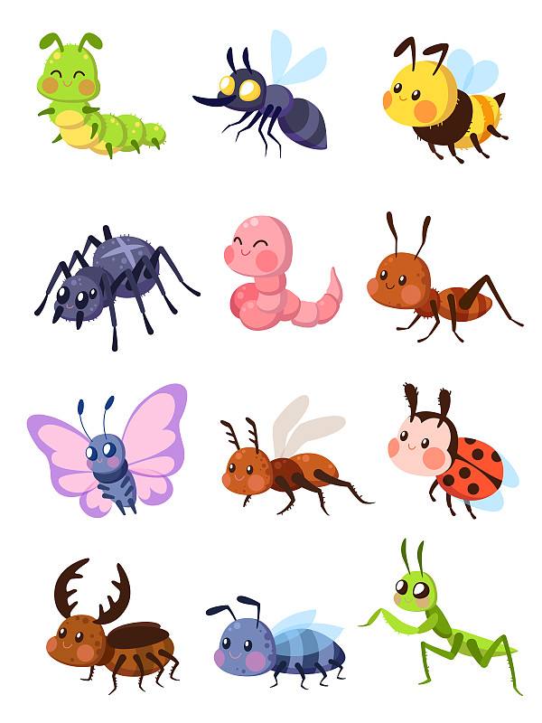 可爱的,毛虫,蚂蚁,蚊子,蜘蛛,螳螂,卡通,两翼昆虫,蚱蜢,瓢虫