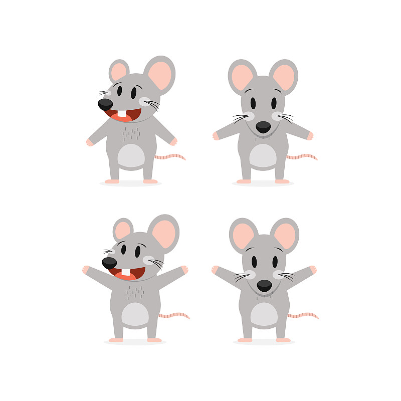 老鼠,白色背景,动画片,分离着色,2020,背景分离,泰国,哺乳纲,小的,动物