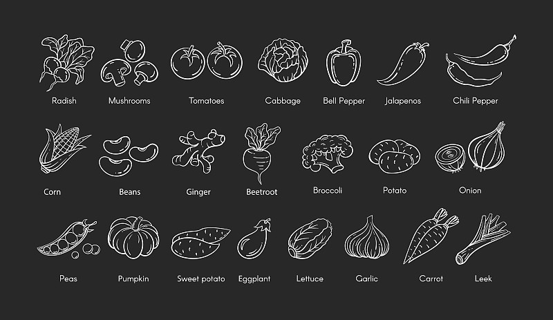 蔬菜,草图,白色,矢量,线图标,生姜,菜单,韭,背景分离,莴苣