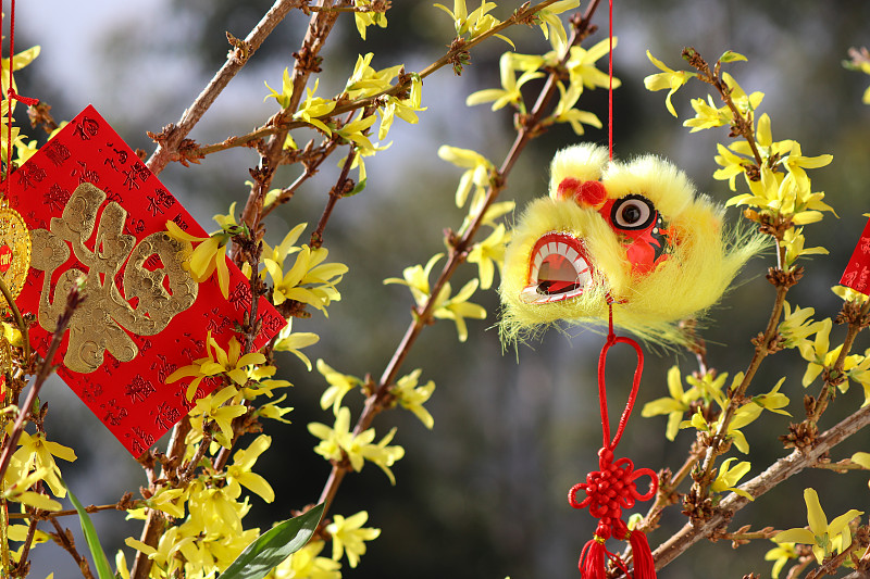 新年前夕,月亮,传统,春节,传统节日,春天,中国,亚洲人种,背景,节日