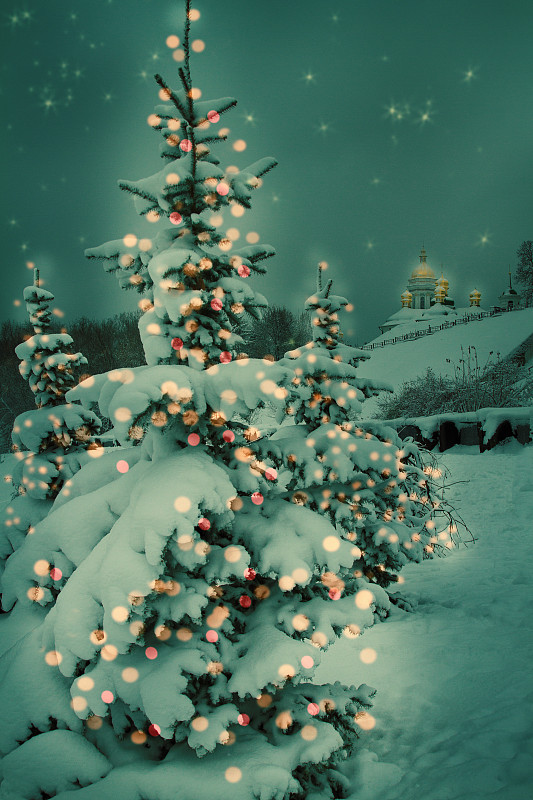 新年前夕,雪,背景,节日,圣诞树,秋天,贺卡,彩色背景,景观设计