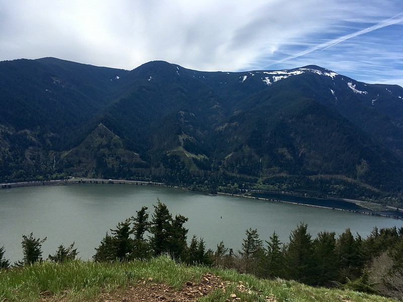 山,狗,美国西北太平洋地区,视角,华盛顿州,云景,雪山,云,雪,俄勒冈郡