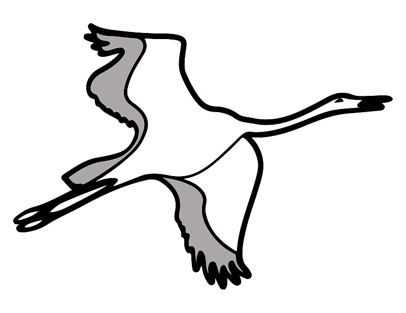 灰色,品牌名称,绘画插图,张开翅膀,矢量,鹤,数码图形,线条,背景分离,野生动物