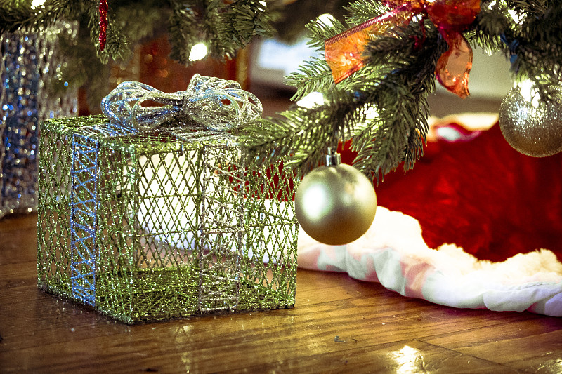 圣诞小彩灯,前景聚焦,圣诞装饰物,技术,纽奥尔良,住宅内部,圆形,圣诞树,小家电,幸福