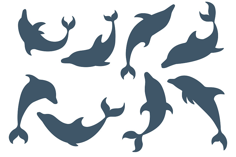 海豚,绘画插图,卡通,平坦的,矢量,蓝色,分离着色,海洋生命,剪影,设计