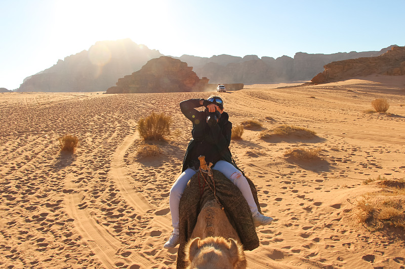 骆驼,沙漠,女人,旅途,热,专业人员,动物,摄影师,拿着,户外