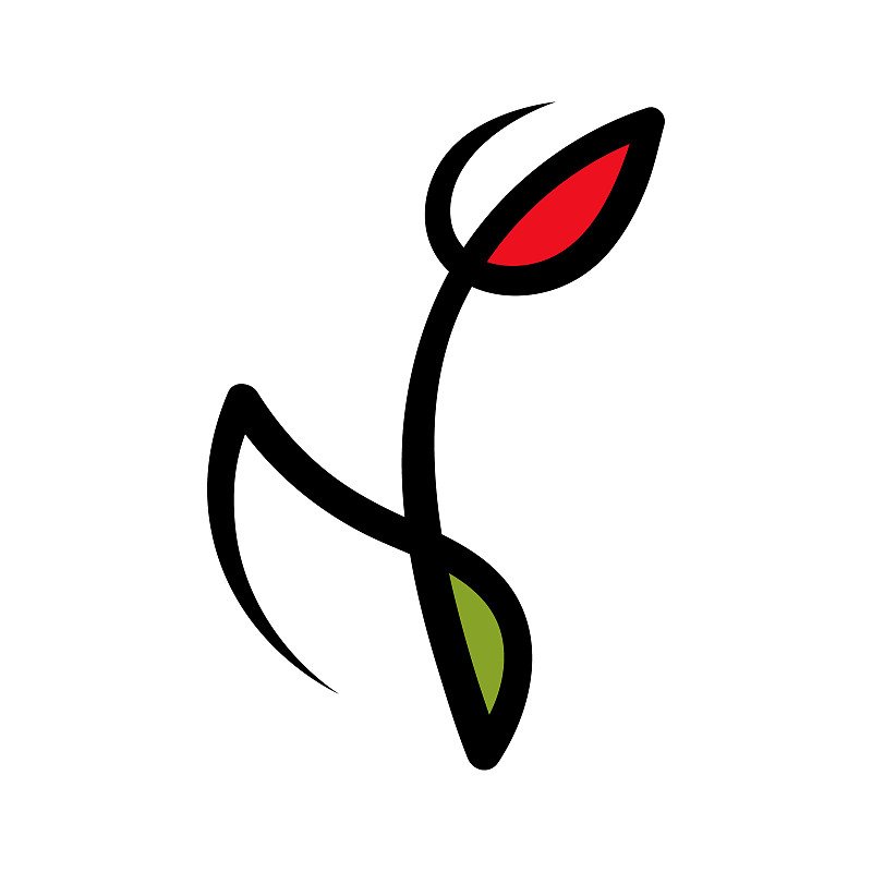 郁金香,仅一朵花,符号,抽象,白色,概念象征,热带气候,简单,自然美,品牌名称
