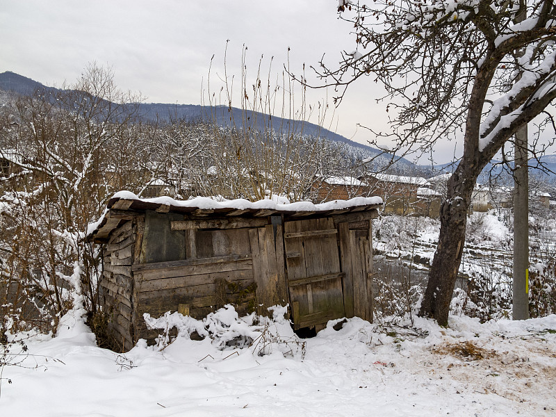 乡村,保加利亚,冬天,风景,传统,寒冷,厚木板,霜,雪,圆木