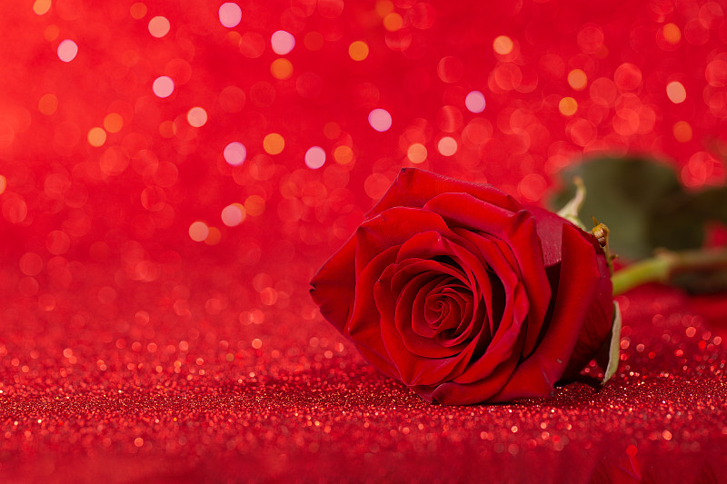 玫瑰,明亮,红色背景,周年纪念,请柬,暗色,背景分离,浪漫,婚礼,色彩鲜艳