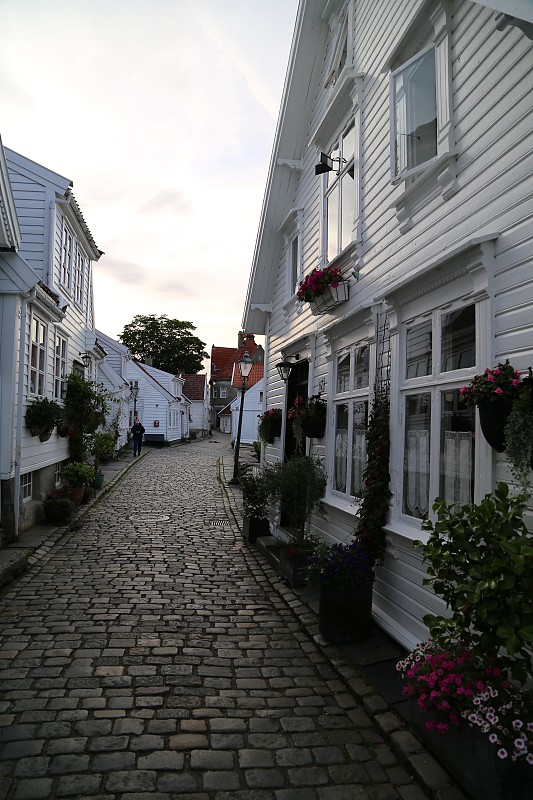 木制,白色,古老的,房屋,斯塔万格,街道,横截面,旅途,圆石,斯堪的纳维亚半岛