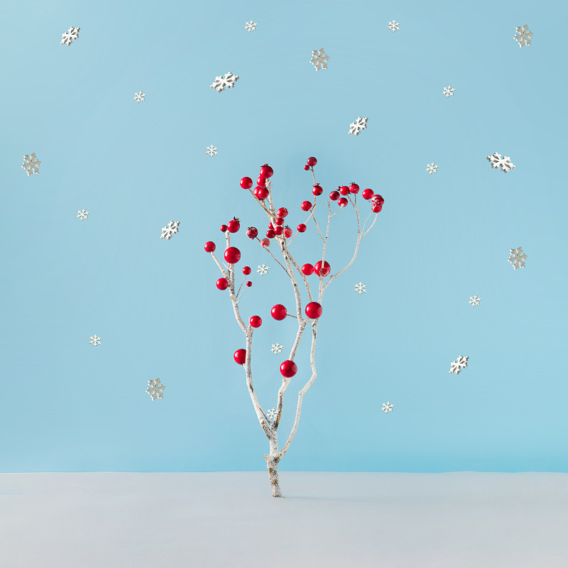 圣诞装饰物,圣诞树,极简构图,红色,冬天,枝,雪花,蓝色背景,落下,做