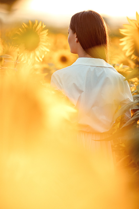 向日葵,美女,可爱的,平和,自由,肖像,一个人,背面视角,女人,青年女人