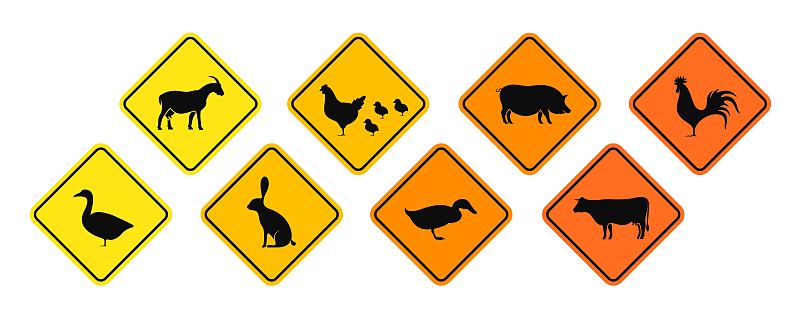 动物,交通标志,分离着色,乡村,白色背景,背景分离,哺乳纲,公路,猪,古典式