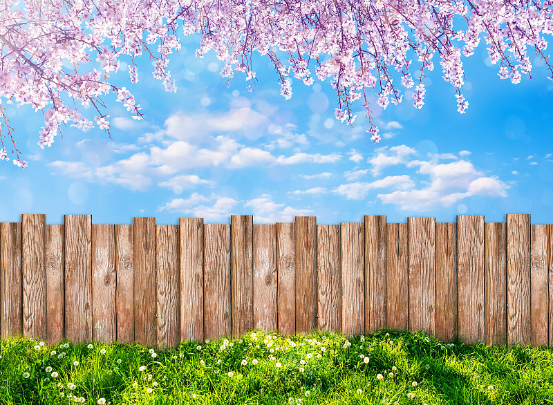 春天,木制,篱笆,园林,后院,农业,草坪,土耳其,边框,厚木板