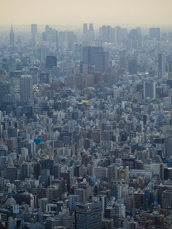 城市天际线,东京,高视角,商务,城市生活,房屋建设,现代,城市扩张,户外,天空