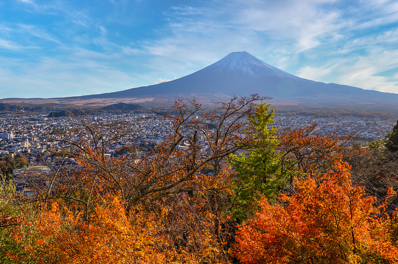 富士山,秋天,山,旅途,雪山,曙暮光,云,东亚,枫树,户外