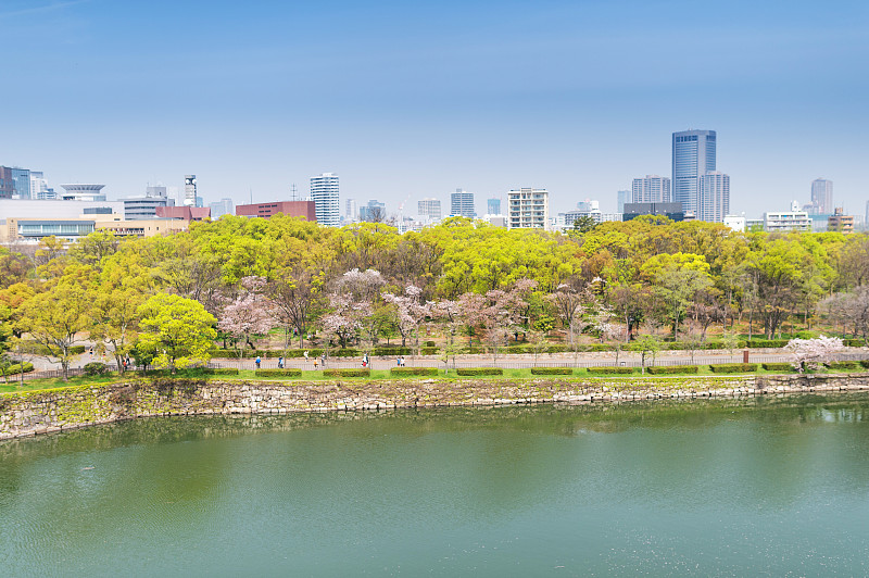 河流,日本,樱花,全景,日光,航拍视角,白昼,大阪府,国际著名景点,日本武士