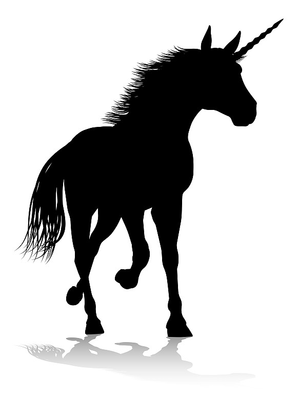 独角兽,马,有角的,秘密,背景分离,哺乳纲,动物,跃起的马,白色,轮廓