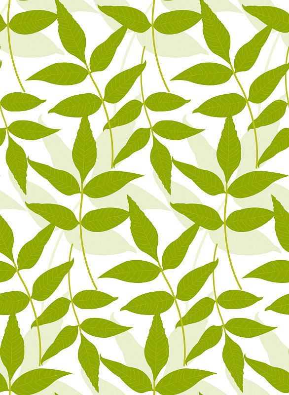 叶子,式样,绿色,瑞典,绿茶,清新,自然界的状态,纺织品,环境,枝繁叶茂