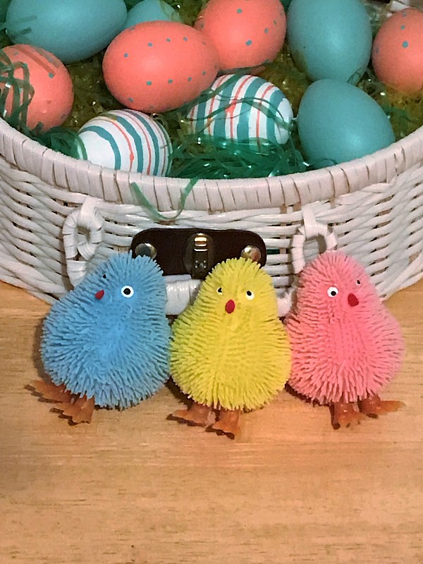 篮子,复活节,前面,小鸡,复活节彩蛋,黄色,粉色,蓝色,传统,复活节篮