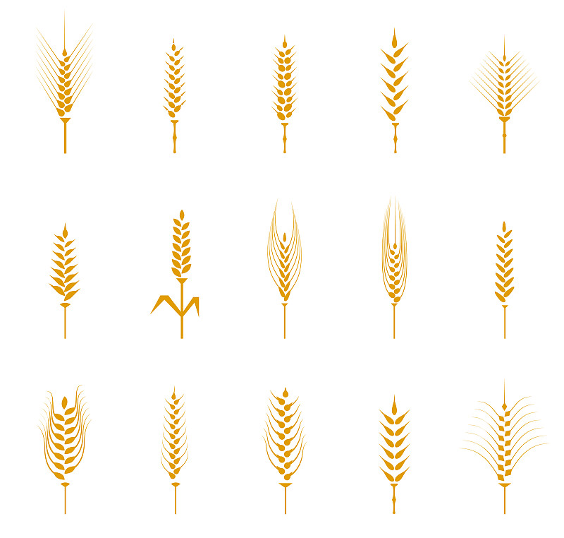 黄色,小麦,计算机图标,尖的,农业,素食,大麦,自然界的状态,背景分离,面包