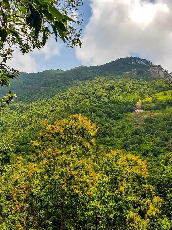 斯里兰卡,岩石,寺庙,看风景,传统,热带气候,自然美,热带树,马特莱区,户外