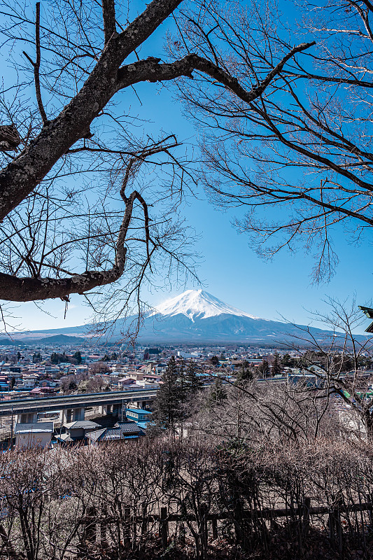 富士山,城镇,视角,日本,云景,城镇景观,云,黄昏,林区,户外