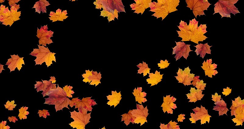 三维图形,秋天,叶子,黑色背景,九月,十月,贺卡,橙色,背景