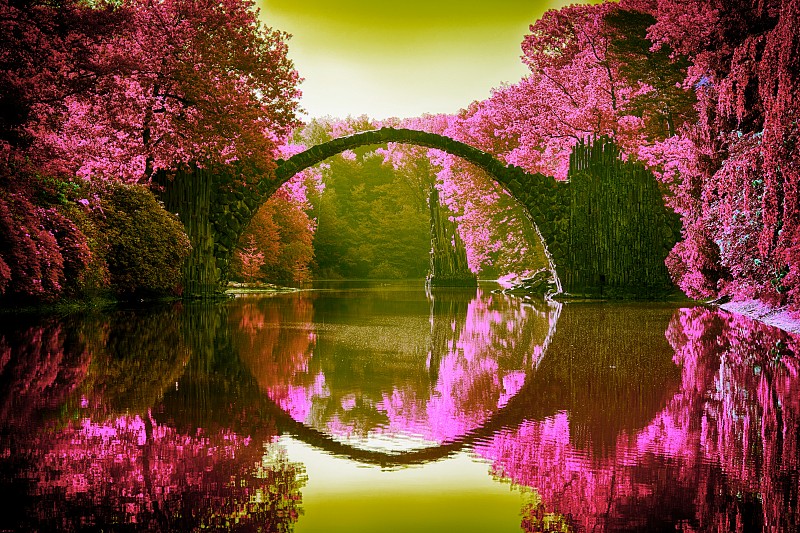 粉色,桥,灰色,云,公园,植物,河流,户外,建筑,印度