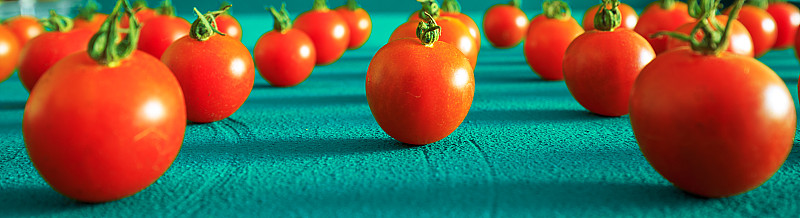 食品,西红柿,红色,全景,混沌,背景,布告,蓝色背景,樱桃
