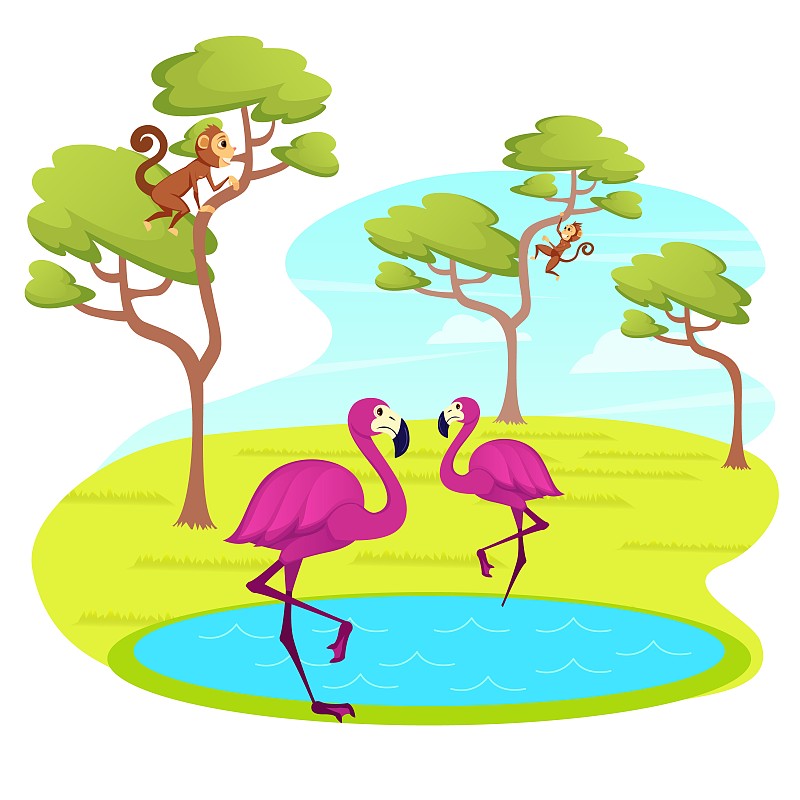 粉色,猴子,火烈鸟,湖,水面,热带气候,猿,动物,鸟类,雨林