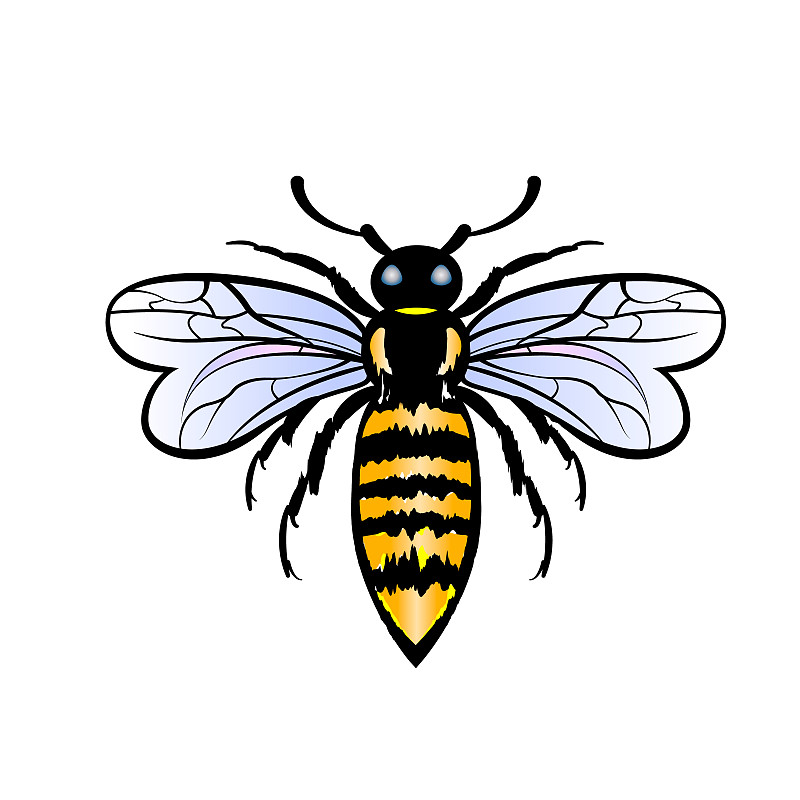 蜜蜂,符号,计算机图标,标志,可爱的,野生动物,甲虫,蜂蜜,动物,品牌名称